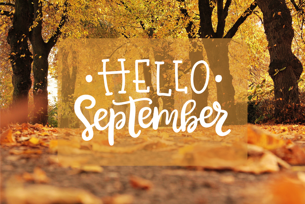Fall leaves/tree background with "Hello September" written across the photo.