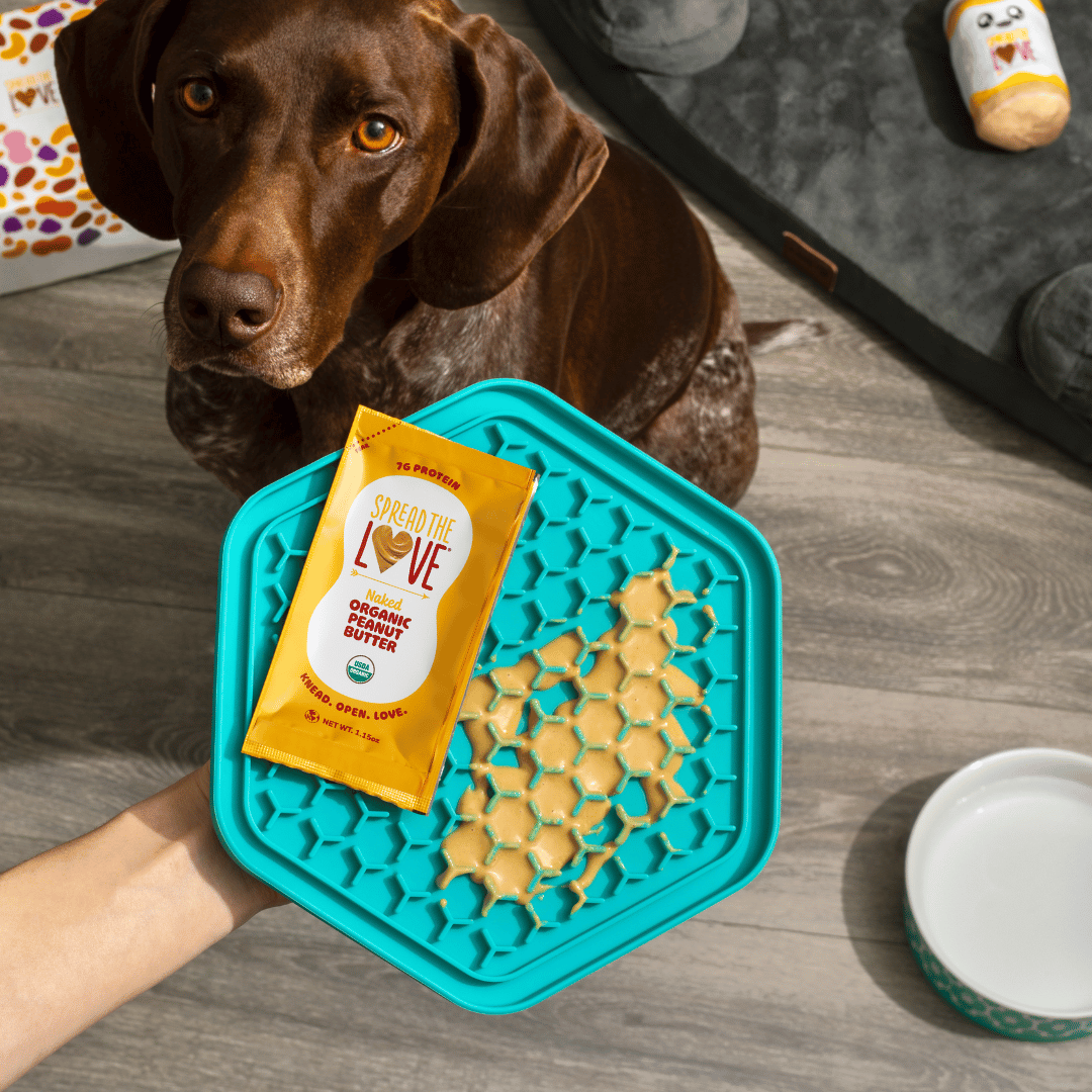 Peanut butter Packet on lick mat with dog waiting