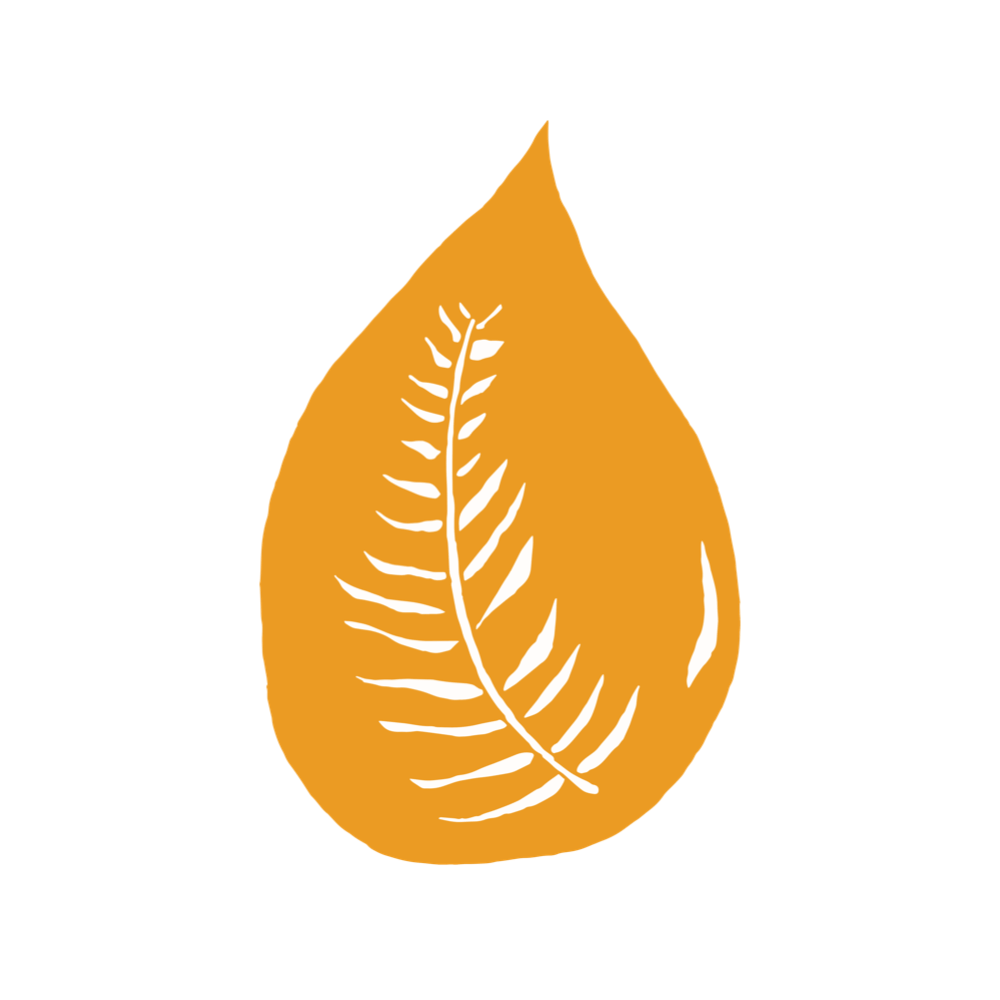 Palm Oil Free
